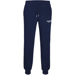 Jack & Jones Junior Ocean Cavern Gordon Vesterbro Cuffed Sweatpants Noos