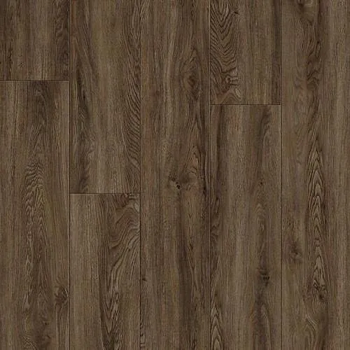 Macchiato Project Plank